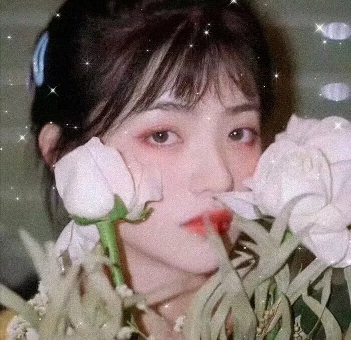 姆明山谷 第二季